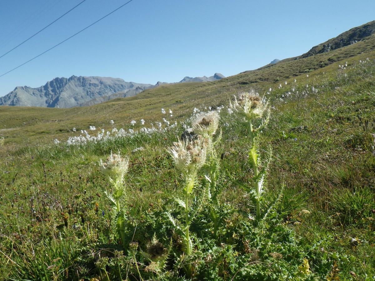 Apart-Garni Motnaida Samnaun Bagian luar foto